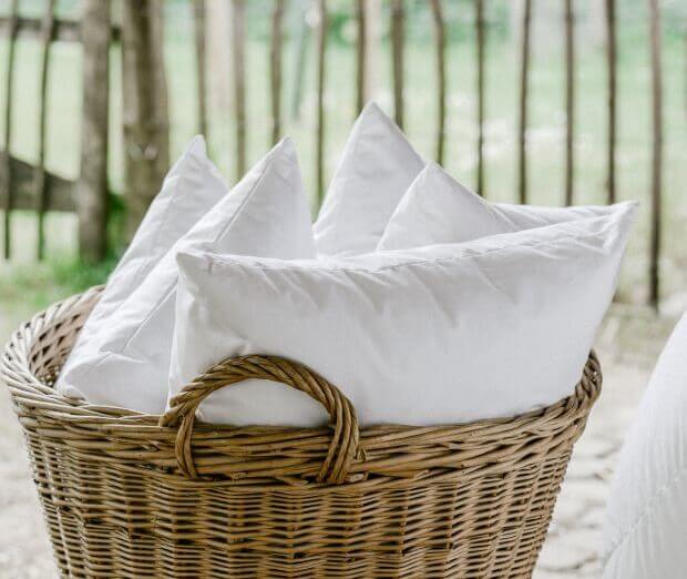 Allergie & Hautverträglichkeit | Gänsebetten.de - Betten und Kissen aus  Dithmarscher Daunen